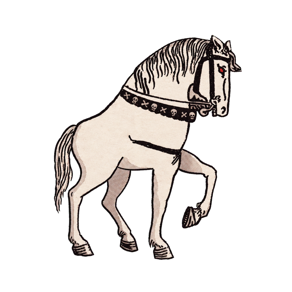White horse from the Death tarot card