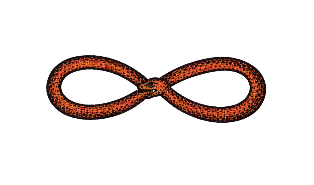 Red ouroboros serpent forming a continuous loop