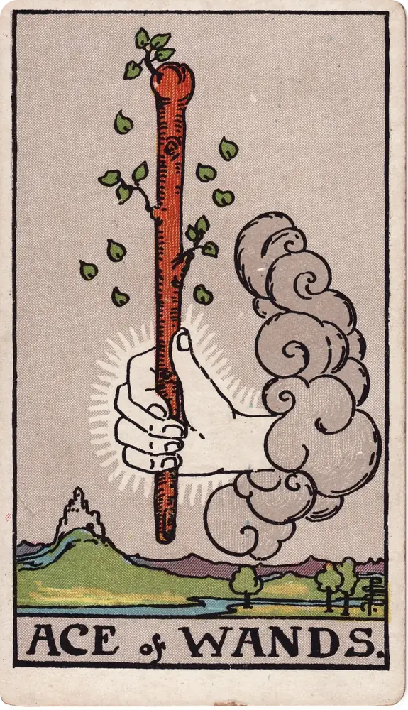 The cleaned Ace of Wands tarot card
